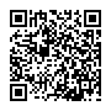 QR code for 294101H