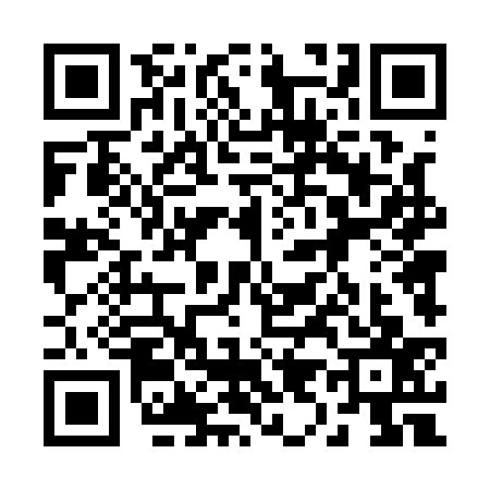 QR code for 2941371