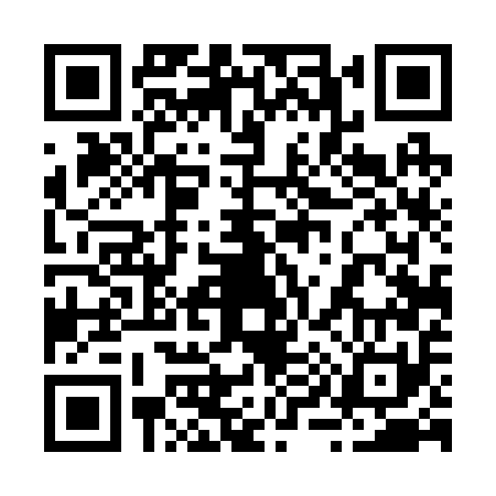 QR code for 294251H