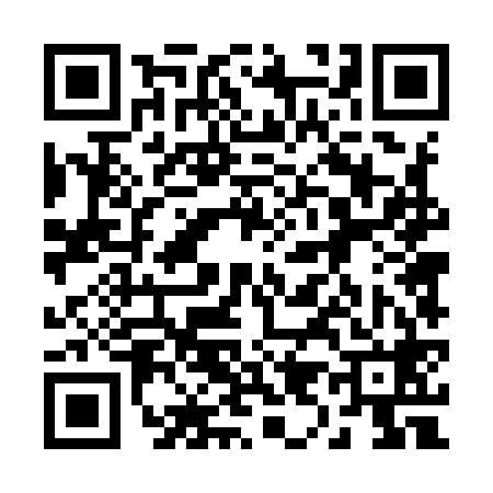 QR code for 294968P