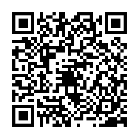 QR code for 295060P