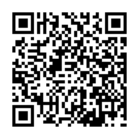 QR code for 295082I