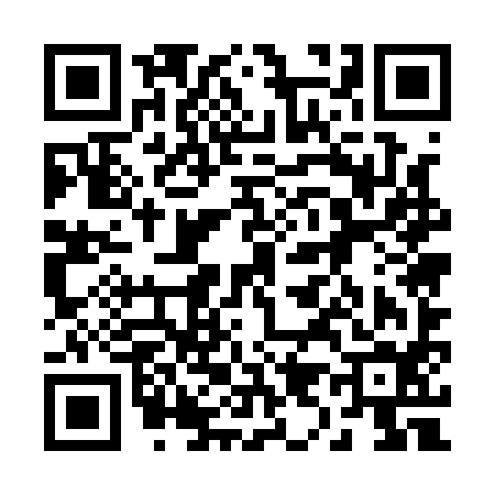 QR code for 295194E