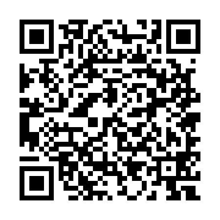 QR code for 295198N