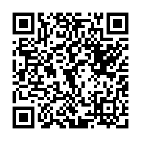 QR code for 295208M