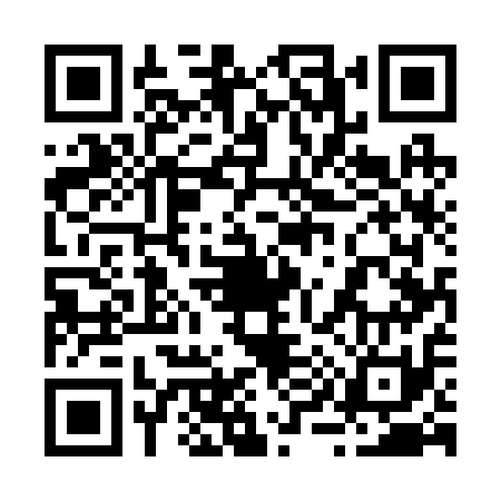 QR code for 295211H