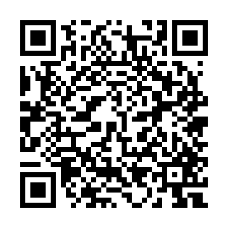 QR code for 295247Q