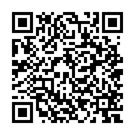 QR code for 295306Y