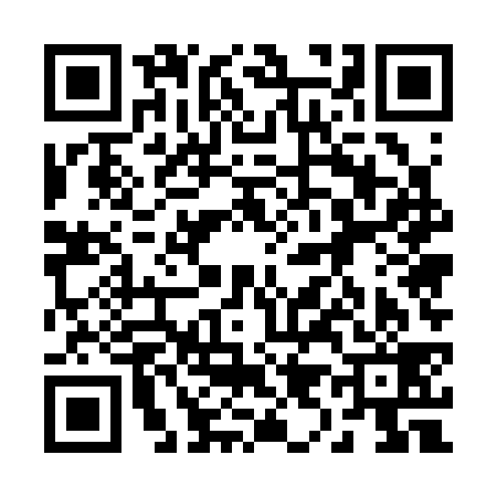 QR code for 295339B