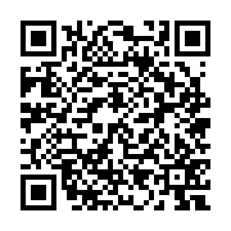QR code for 295377B