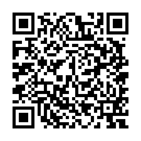 QR code for 295493V