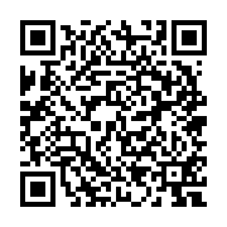 QR code for 295611V
