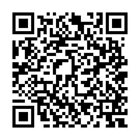 QR code for 295641M