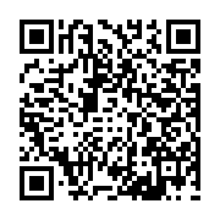 QR code for 2957128