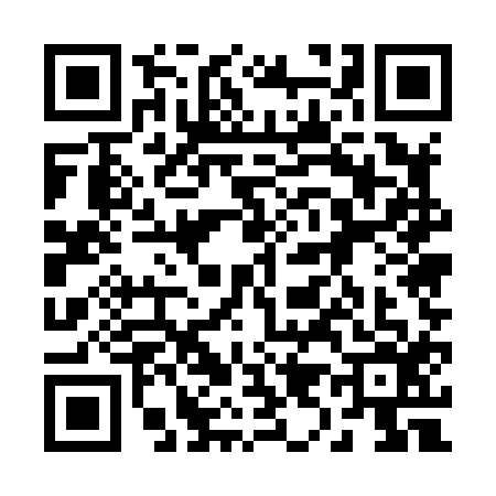 QR code for 2958163