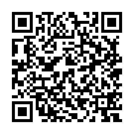 QR code for 295818B