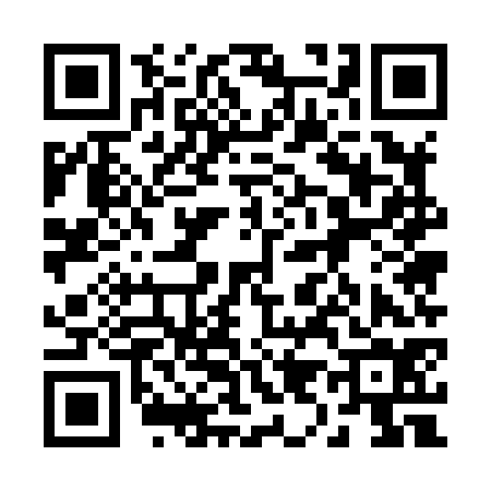 QR code for 295874C