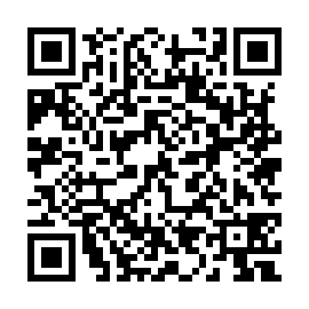 QR code for 295938M