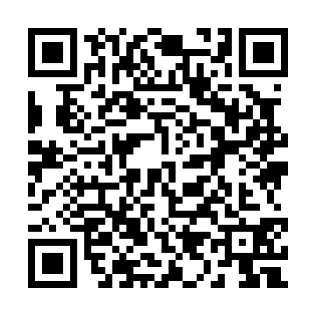 QR code for 2990306