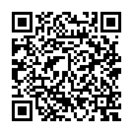 QR code for 299161C