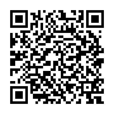 QR code for 299250C