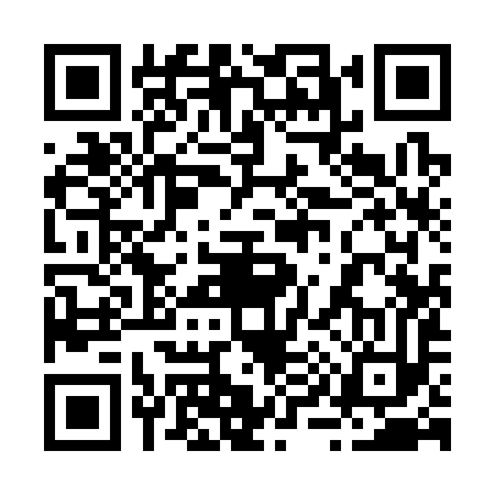 QR code for 299393X
