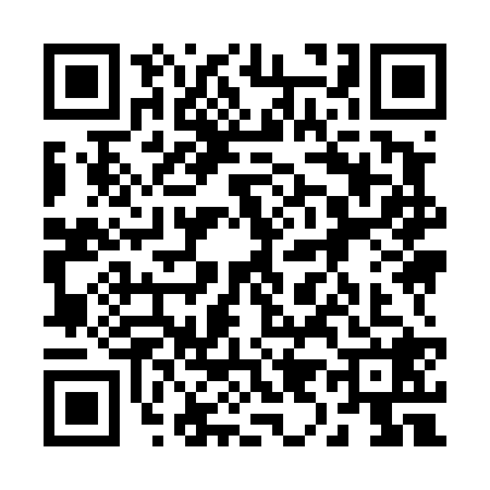 QR code for 2994281