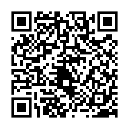 QR code for 2995111