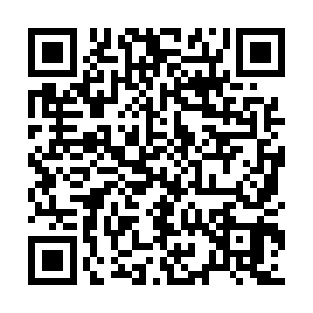 QR code for 299541Q