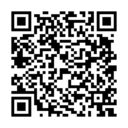 QR code for 2C0411O