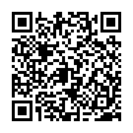 QR code for 2C12924