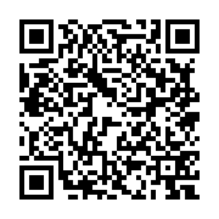 QR code for 2C18733