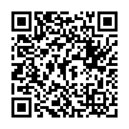 QR code for 2C3011P