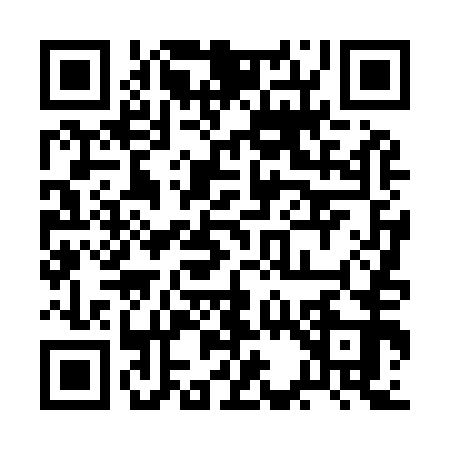 QR code for 2C4953H