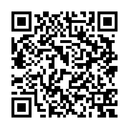 QR code for 2C94313