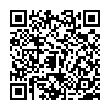 QR code for 2C95387