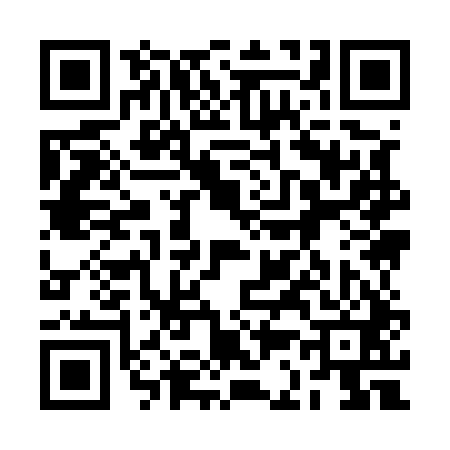 QR code for 2C9541T