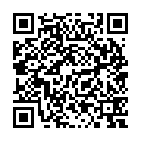 QR code for 300279G