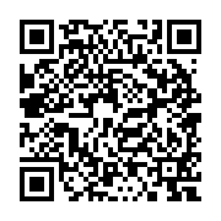 QR code for 300291N