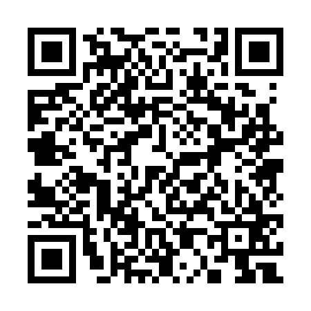 QR code for 300363T
