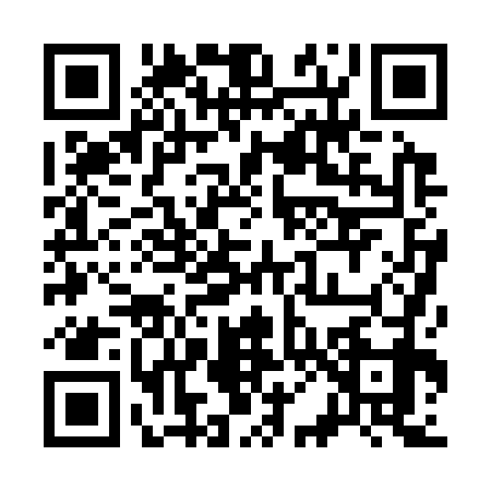 QR code for 300379L
