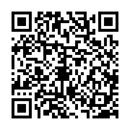 QR code for 300399X