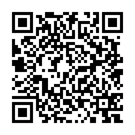 QR code for 300435Q