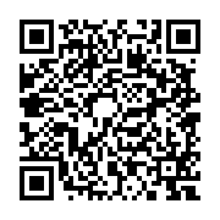 QR code for 3004959