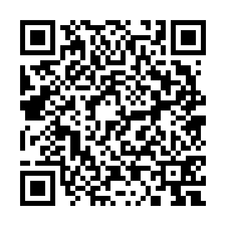 QR code for 300671S