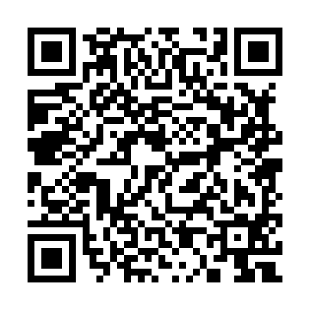 QR code for 300894F