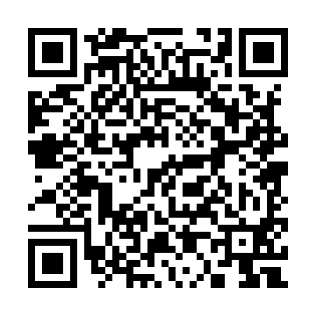 QR code for 300990Y