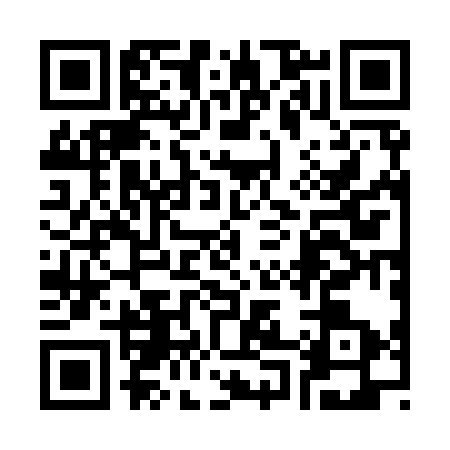 QR code for 3029335