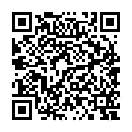 QR code for 304255P