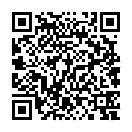 QR code for 3060383